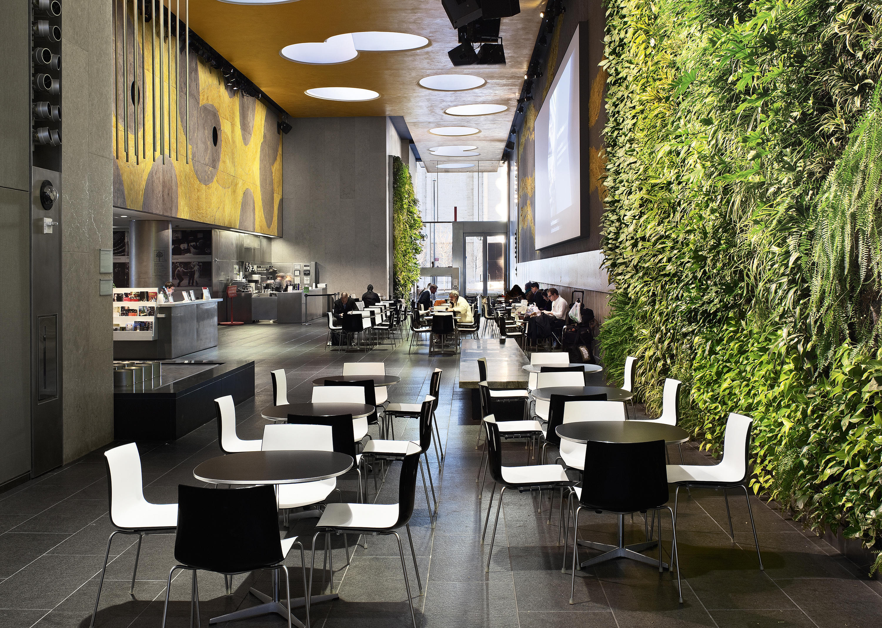 MK官网 - 坐具|餐椅|MK(中国)一站式服务官网|设计师家具|Catifa 46 餐椅